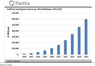 2017年人工智能應(yīng)用軟件開發(fā)研究報(bào)告 趨勢(shì)、挑戰(zhàn)與未來展望
